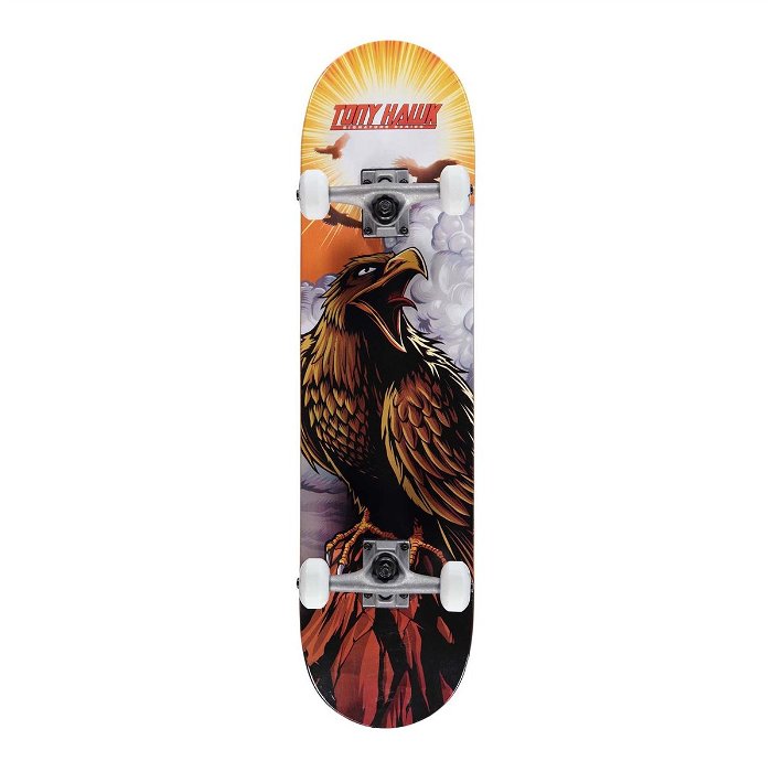 Hawk SS 180 Complete Skateboard